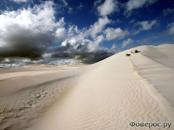 Песчаные дюны, Австралия. Photograph by Nicki Chen