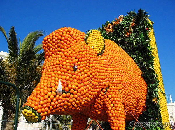 Цитрусовый фестиваль в Ментоне (Франция) - Кабан из апельсинов и лимоно