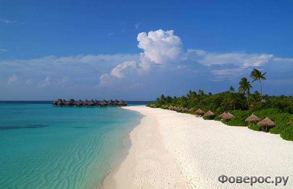 Coco Palm Dhuni Kolhu - Отель на Мальдивах - beach lagoon villa