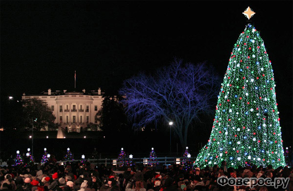 Вашингтон - Белый дом - Рождество и Новый Год 2011