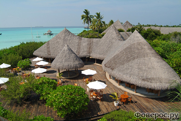 Coco Palm Dhuni Kolhu - Отель на Мальдивах