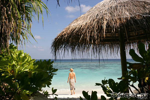 Coco Palm Dhuni Kolhu - Отель на Мальдивах - beach near deluxe villa